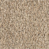 Mohawk Carpet
Luxuriant Surface